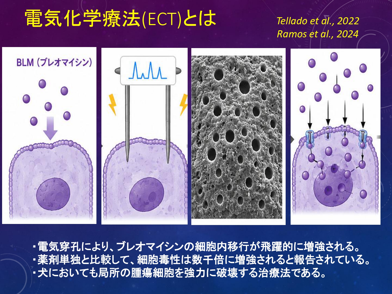 電気化学療法とは?