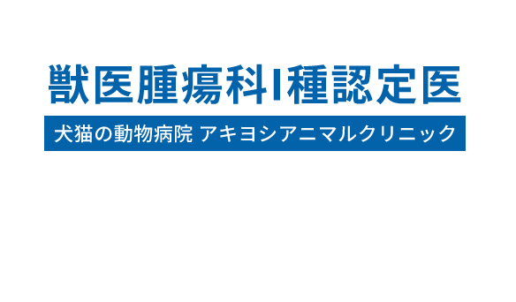 獣医腫瘍科I種認定医 犬猫の動物病院アキヨシアニマルクリニック